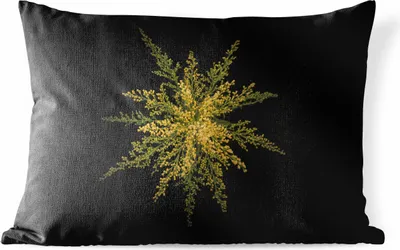 Produktbild von MuchoWow® Outdoor Kissen - Eine Goldrutenblüte auf schwarzem Hintergrund - 50x30 cm - Wetterfest - Lounge Kissen - Sofa kissen - Wohnzimmer Dekoration