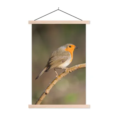Produktbild von MuchoWow® Textilposter Rotkehlchen - Vogel - Natur 60x90 cm mit holzfarbenen Rahmen - Textil
