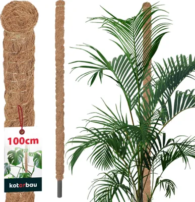 Zdjęcie produktu dla KOTARBAU® Tyczka z mchu do roslin Monstera Coconut Natural ? 2,5 x 100 cm Tyczka do roslin Monstera Tyczka kokosowa Tyczka do roslin Tyczka do roslin Tyczka do roslin Tyczka z mchu Tyczka do roslin Monstera Tyczka do kwiatów Tyczka z mchu