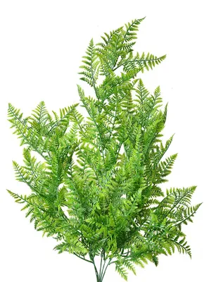 Obrázek produktu pro Clayre & Eef umělá rostlina 80 cm zelený plast