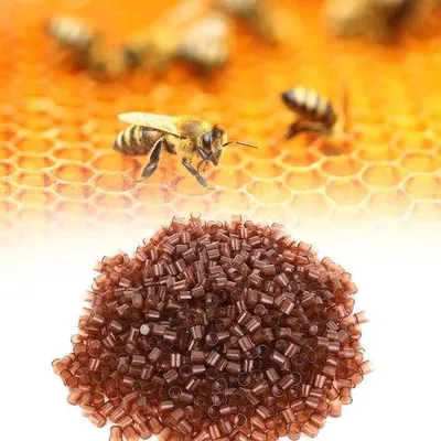 Produktbild von Bienenköniginnenzellen 1000 Stk Großzüchterbecher Plastik