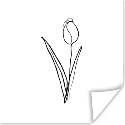 Produktbild von MuchoWow® Poster Tulpe - Blume - Strichzeichnung 100x100 cm - Babyzimmer