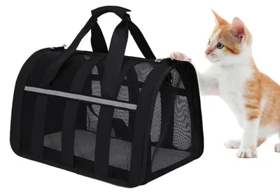 Image de Cage de transport pour chats, respirante, pliable, dimensions : 40 x 40 x 24 cm, couleur : noir