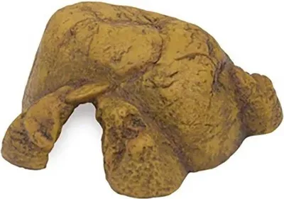 Produktbild von Exo Terra PT2931, Höhle, 1 Stück(e), 160 mm, 155 mm, 70 mm