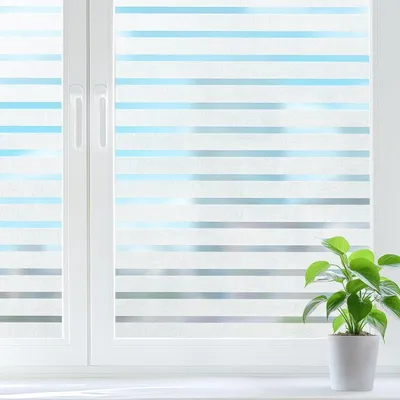 Fensterfolie, Hauptbild