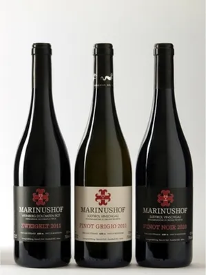 Produktbild von Südtiroler Blauburgunder - 2021 - Weingut Marinushof