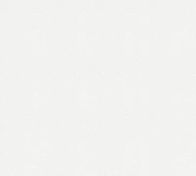 Obrázek produktu pro A.S. Création netkaná tapeta Meistervlies Pro Protect 2, bílá, malovatelná, 25,00 m x 1,06 m, 245915, 2459-15