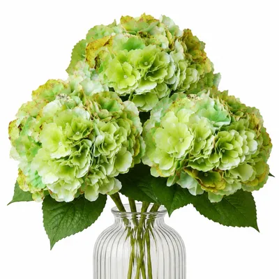 Produktbild von G.blümt Künstliche Hortensien 64 cm lang, Kunstblumen Real Touch wie echt, Grünes Weiß 3 Stück