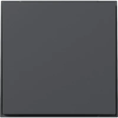 Obrázok produktu pre GIRA Wippe 349667 a TX44 anthr (349667)