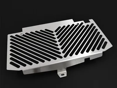 Immagine prodotto di Coperchio radiatore ZIEGER compatibile con BMW F 650 GS | F Clean argento