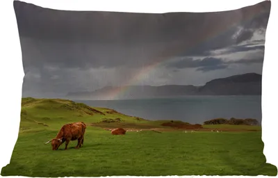 Produktbild von MuchoWow® Outdoor Kissen - Schottische Hochlandrind - Gras - Wolken - 60x40 cm - Wetterfest - Lounge Kissen - Zierkissen - Kissen für Innenräume