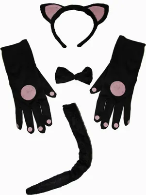 Produktbild von Katzen Kostüm Set schwarz pink Katzenkostüm