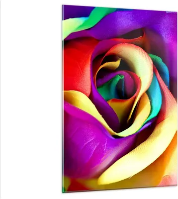 Produktbild von Bilder auf glas - Einteilig - Blume Farbe Rose - 80x120cm - Glasbilder - Wandbilder - Bilder - zum Aufhängen bereit - Wanddekoration aus Glas - Glas Bilder - Wandbild auf Glas - GPA80x120-3623