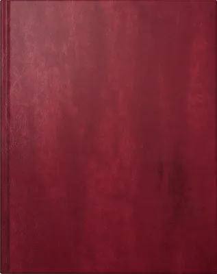 Zdjęcie produktu dla rido idé 7024074706 rido idé Kalendarz książkowy "Managerkalender TM Belnova", 2026