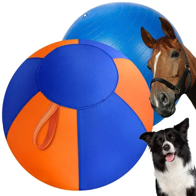 Immagine prodotto di Palla gonfiabile a forma di cane, 45 cm, con maniglia e pompa, ideale per l'allenamento e il gioco