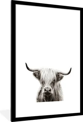 Produktbild von MuchoWow® MuchoWow® Gerahmtes Poster Schottisches Hochlandrind - Weiß - Kuh 60x90 cm - Poster mit zchwarzem Bilderrahmen - Dekoration - Wandposter Wohnzimmer - Hochwertig