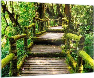 Produktbild von Bilder auf glas - Asien natur park brücke - 100x70cm - Glasbilder - Wandbilder - Kunstdruck - zum Aufhängen bereit - Wanddekoration aus Glas - Glas Bilder - Wandbild auf Glas - GAA100x70-2417
