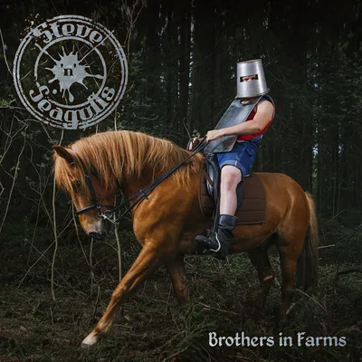 Obrázok produktu pre Steve 'n' Seagulls: Brothers In Farms