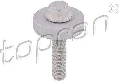 Produktbild von TOPRAN Riemenscheibenschraube 701 418 für RENAULT CLIO II (BB0/1/2_ CB0/1/2_)