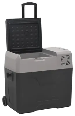Produktbild von vidaXL Kühlbox mit Rollen und Adapter Schwarz & Grau 40 L Polypropylen