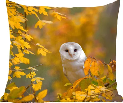 Produktbild von MuchoWow® Zierkissen Sofakissen Wohnzimmer Dekokissen 50x50 cm Vogel - Eule - Herbst - Komfort - Sofakissen