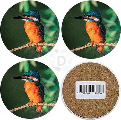 Productafbeelding van Onderzetters, ijsvogelmotief, 4 stuks, diameter 10 cm