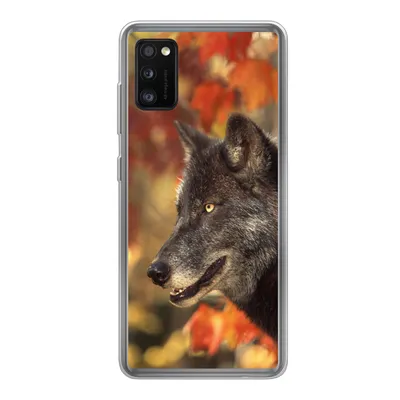 Produktbild von MuchoWow® Handyhülle Schutzhülle Hülle für Samsung Galaxy A41 Wolf - Nahaufnahme - Blätter Silikon Softcase Handy Hülle - Mobiltelefon