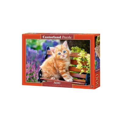 Zdjęcie produktu dla Castorland Puzzle 500 Elementów - Uroczy Rudy Kociak