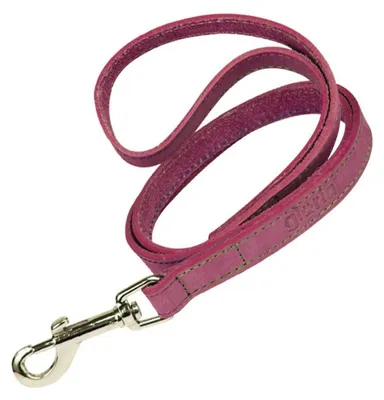 Productafbeelding van Hondenriem Gloria Oasis, roze, 3 x 60 cm