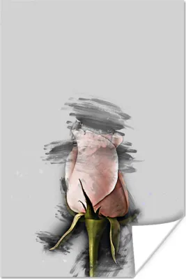 Produktbild von MuchoWow® Poster Blumen - Rosa - Schwarz 120x180 cm - Kunstposter
