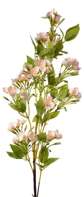 Immagine prodotto di Fiore artificiale Clayre & Eef 96 cm plastica rosa