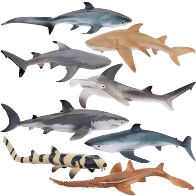 Productafbeelding van Set van 8 zeedierenfiguren voor speelplezier en decoratie