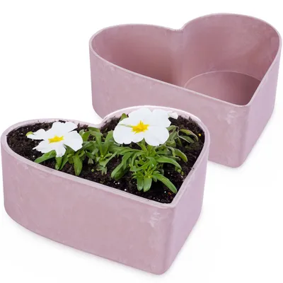 Immagine prodotto di Fioriere a cuore per esterni Ciotole decorative rosa-rosso 2x 22 cm