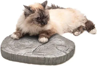 Produktbild von Beton-Stapstenen für Garten Ø 30 cm