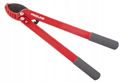 Zdjęcie produktu dla Proline Tools 40076, 1 szt.