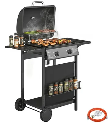 Image de Barbecue à gaz pour l'extérieur - Grill à gaz avec 2 brûleurs - Puissance de 5 kW - Thermomètre intégré - Boîtier en métal - Noir
