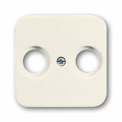 Produktbild von BJ Duro 2000 SI Koax-Abdeckung 2531-212 2Loch weiss