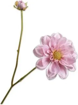 Produktbild von Silk-ka Kunstblume - Seidenblume - Kunstzweig Dahlienstiel rosa 48cm pro 3 Stück