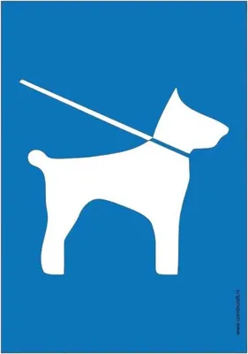 Produktbild von CombiCraft Schild 'Leinenpflicht für Hunde' 21x30 cm