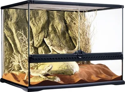 Produktbild von Terrarium, Paludarium Exo Terra 60 x 45 x 45 cm