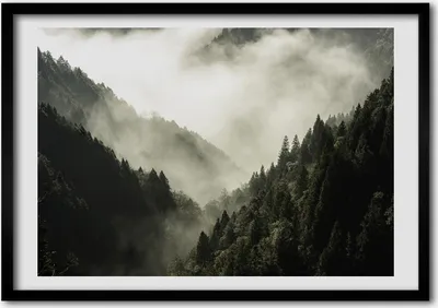 Produktbild von Bild - Bilder - Bilderrahmen - 70 cm x 50 cm - MDF-Rahmen, Wandkunst den Wald Nebel über