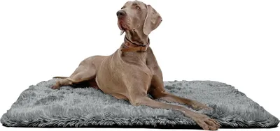 Produktbild von tierlando® Hundeliegedecke SHARY kuscheliger Zottelplüsch flauschiger Langfloor - Größe: 100x70cm | Farbe: 02 Graphit