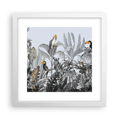 Produktbild von Gerahmtes Poster - Weißer Rahmen - Dschungel Tiere Tukane - 30x30 cm - Wand Bild - Wanddeko - Wandbilder - Kunstposter - Wandposter - Bilderrahmen - Bilder - Kunstdruck - P2WAC30x30-4662