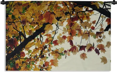 Produktbild von MuchoWow® Wandteppich Wandbehang Bäume - Herbstblätter - Natur 90x60 cm Tapisserie Dekoration Wandtuch - Wandskulpturen - Bildteppich
