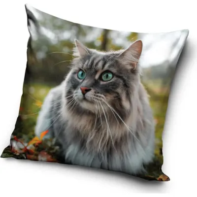 Imagen del producto de Almohada con estampado de gato siberiano