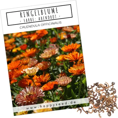 Produktbild von Ringelblumen Samen (Calendula Officinalis) - Vielseitige Heilpflanze mit essbaren Blüten und ideal für eine bunte Blumenwiese (Abendrot)