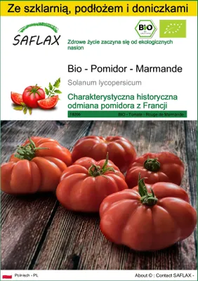 Zdjęcie produktu dla SAFLAX - Zestaw do uprawy - Bio - Pomidor - Marmande - 10 Nasiona - Z mini szklarnią, podłożem uprawowym i 2 doniczkami - Solanum lycopersicum