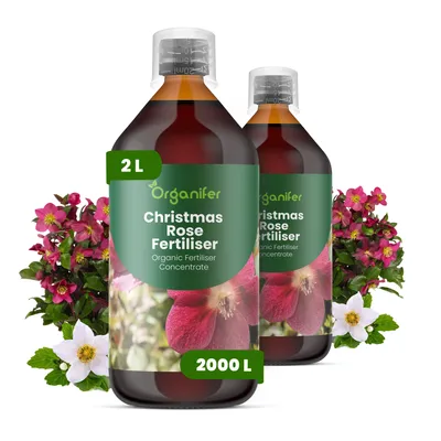 Zdjęcie produktu dla Ciemiernik Nawóz Płynny 2x1 L – 3-4-3 NPK – Do Kvitnúce Rośliny – Do Dlhotrvajúce Kwiaty i Silne Rośliny – Podporuje Korzenie i Vitalitu – Organifer