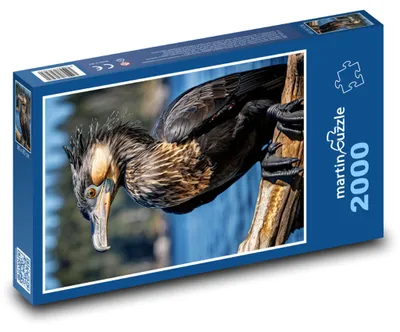 Produktbild von martinpuzzle - Puzzle 2000 Teile - Kormoranvogel auf dem Fluss
