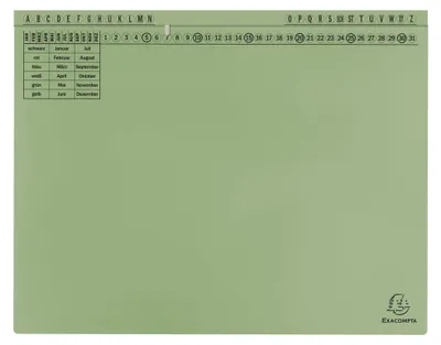 Immagine prodotto di Exacompta 371125B 25x cartelle sospese Exaflex in cartone verde